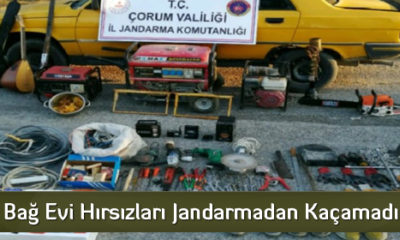 Bağ Evi Hırsızları Jandarmadan Kaçamadı