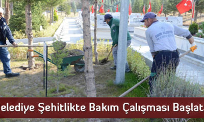 Belediye Şehitlikte Bakım Çalışması Başlattı