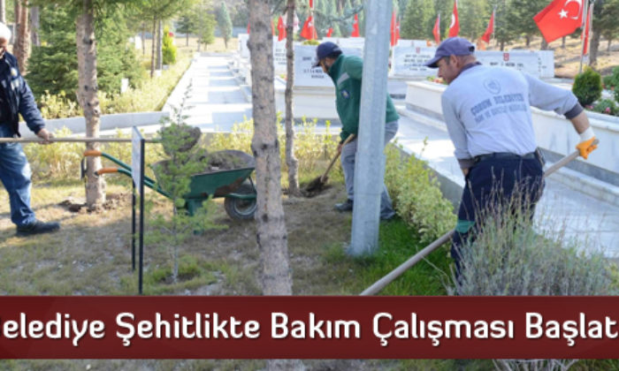 Belediye Şehitlikte Bakım Çalışması Başlattı