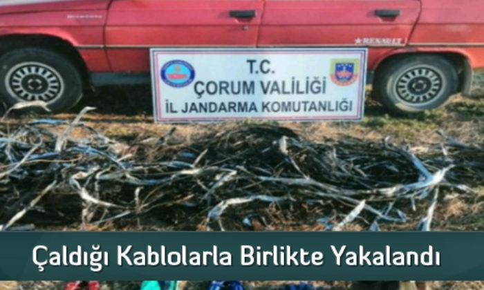 Çaldığı Kablolarla Birlikte Yakalandı