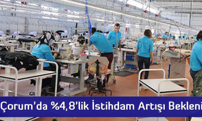 Çorum’da %4,8’lik İstihdam Artışı Bekleniyor