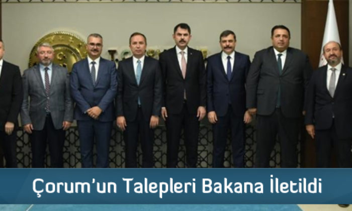 Çorum’un Talepleri Bakana İletildi
