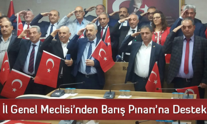 İl Genel Meclisi’nden Operasyona Destek