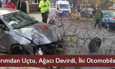 Kaldırımdan Uçtu, Ağacı Devirdi, İki Otomobile Çarptı