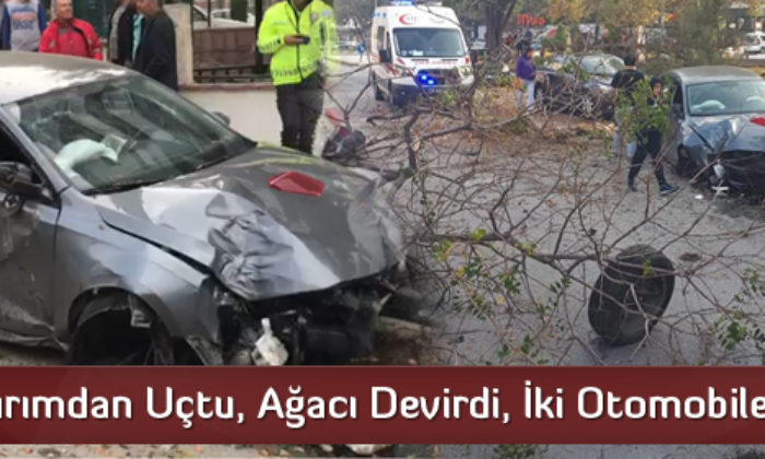 Kaldırımdan Uçtu, Ağacı Devirdi, İki Otomobile Çarptı