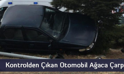 Kontrolden Çıkan Otomobil Ağaca Çarptı