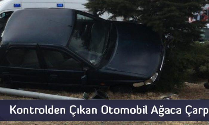 Kontrolden Çıkan Otomobil Ağaca Çarptı