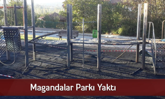 Magandalar Parkı Yaktı