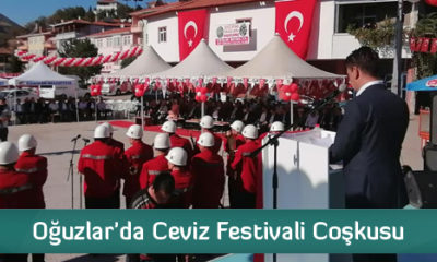 Oğuzlar’da Ceviz Festivali Coşkusu