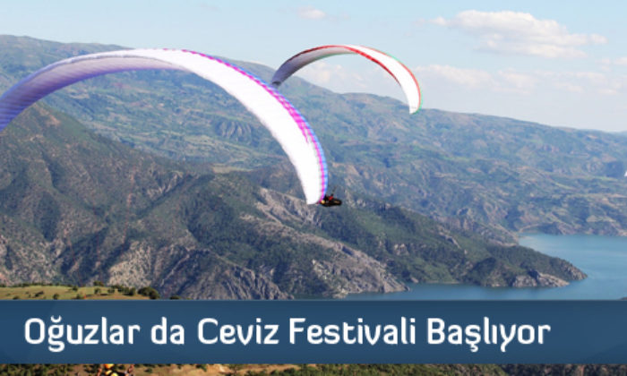 Oğuzlar’da Ceviz Festivali Başlıyor