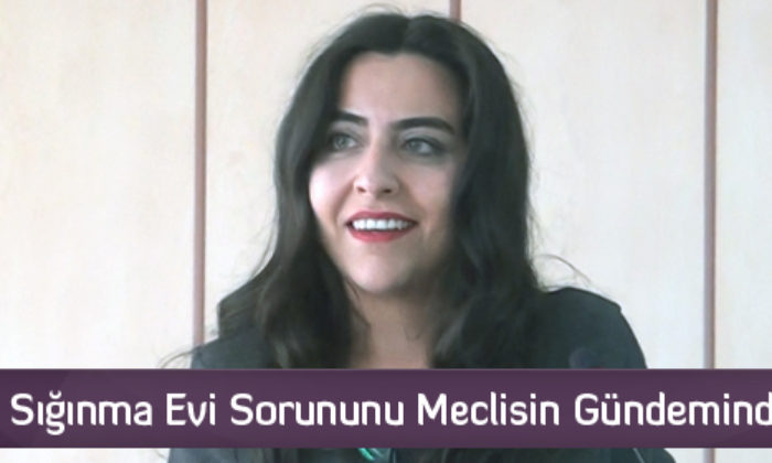 Sığınma Evi Sorununu Meclisin Gündeminde