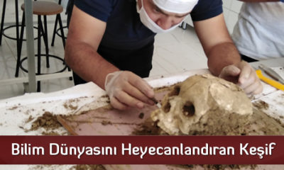 Bilim Dünyasını Heyecanlandıran Keşif