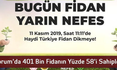 Çorum’da 401 Bin Fidanın Yüzde 58’i Sahiplenildi