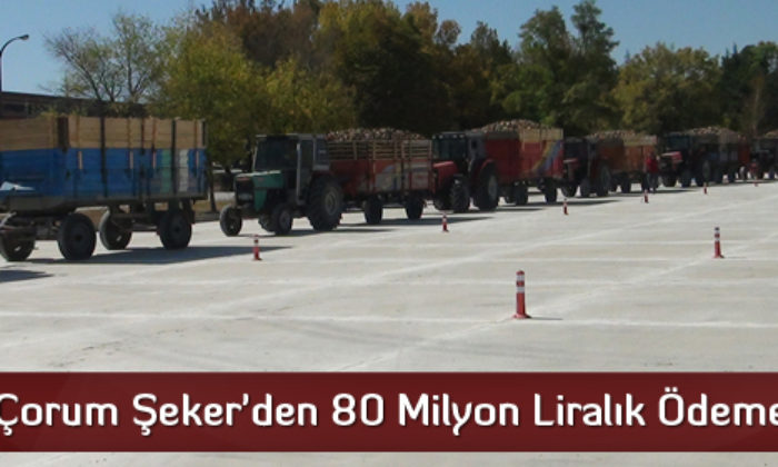 Çorum Şeker’den 80 Milyon Liralık Ödeme