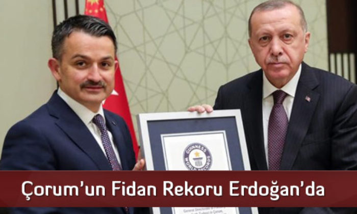 Çorum’un Fidan Rekoru Erdoğan’da