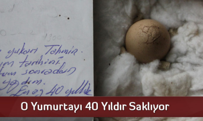 O Yumurtayı 40 Yıldır Saklıyor