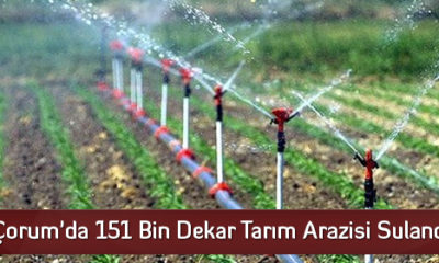 Çorum’da 151 bin Dekar Tarım Arazisi Sulandı