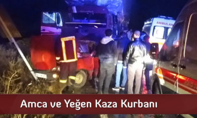 Amca ve Yeğen Kaza Kurbanı