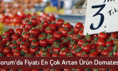 Çorum’da Fiyatı En Çok Artan Ürün Domates