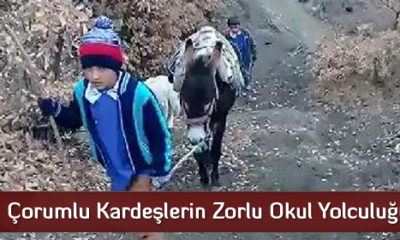Çorumlu Kardeşlerin Zorlu Okul Yolculuğu