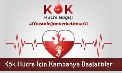Kök Hücre İçin Kampanya