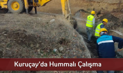 Kuruçay’da Hummalı Çalışma