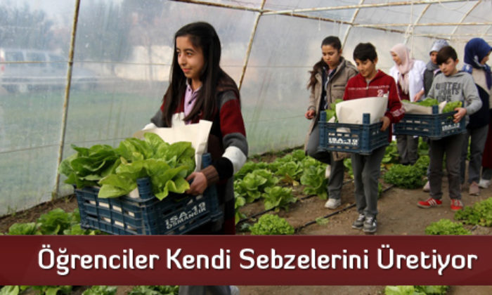 Öğrenciler Kendi Sebzelerini Üretiyor