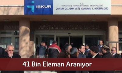 41 Bin Eleman Aranıyor