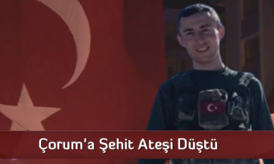 Çorum’a Şehit Ateşi Düştü