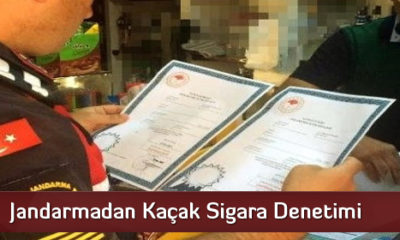 Jandarmadan Kaçak Sigara Denetimi