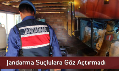 Jandarma Suçlulara Göz Açtırmadı