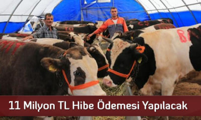 11 Milyon TL Hibe Ödemesi Yapılacak