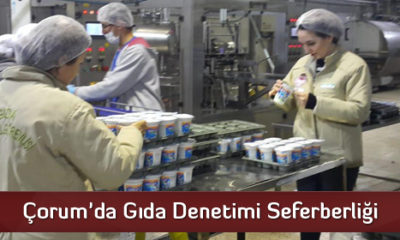 Çorum’da Gıda Denetimi Seferberliği