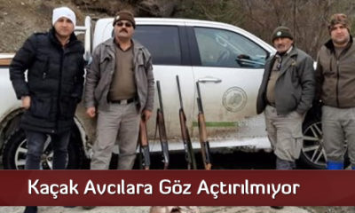 Kaçak Avcılara Göz Açtırılmıyor