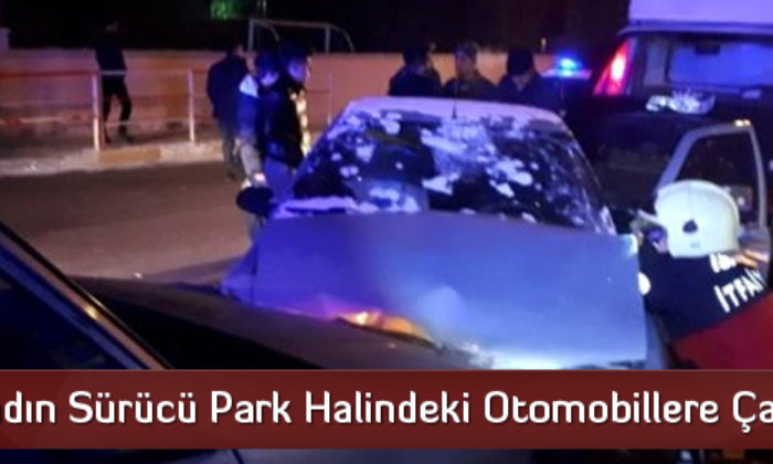 Kadın Sürücü Park Halindeki Otomobillere Çarptı