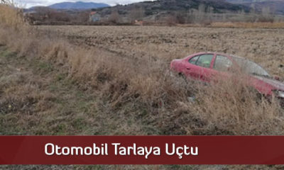 Otomobil Tarlaya Uçtu