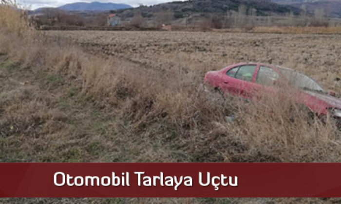 Otomobil Tarlaya Uçtu