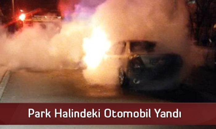 Park Halindeki Otomobil Yandı