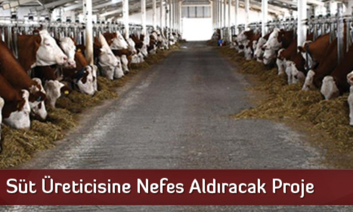 Süt Üreticisine Nefes Aldıracak Proje