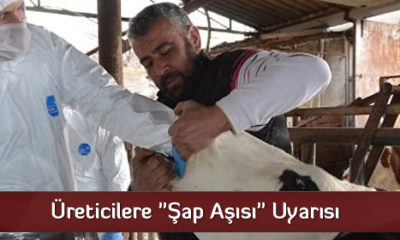 Üreticilere “Şap Aşısı” Uyarısı