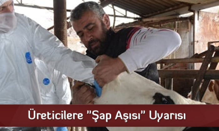 Üreticilere “Şap Aşısı” Uyarısı