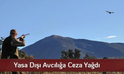 Yasa Dışı Avcılığa Ceza Yağdı