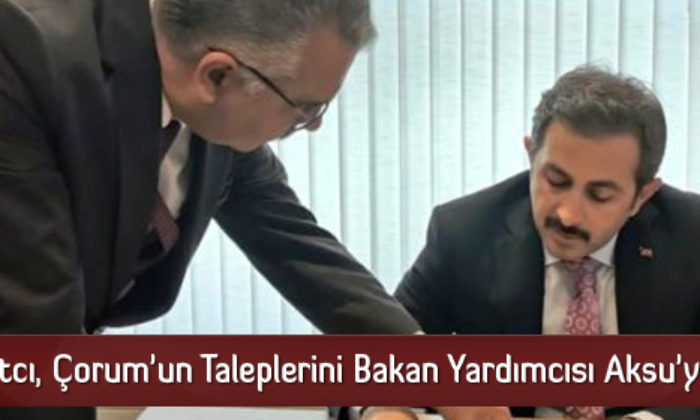 Ahlatcı, Çorum’un Taleplerini Bakan Yardımcısı Aksu’ya İletti