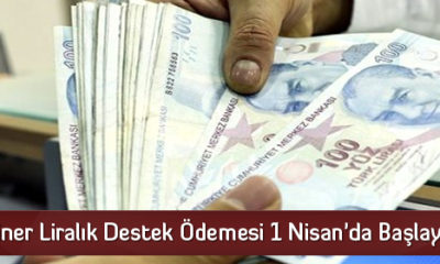 Biner Liralık Destek Ödemesi 1 Nisan’da Başlayacak