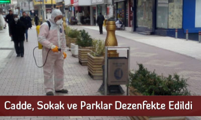 Cadde, Sokak ve Parklar Dezenfekte Edildi