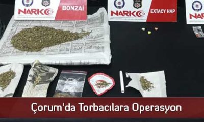 Çorum’da Torbacılara Operasyon