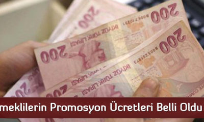 Emeklilerin Promosyon Ücretleri Belli Oldu