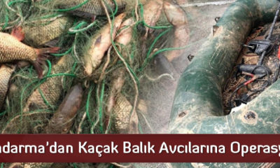 Jandarma’dan Kaçak Balık Avcılarına Operasyon