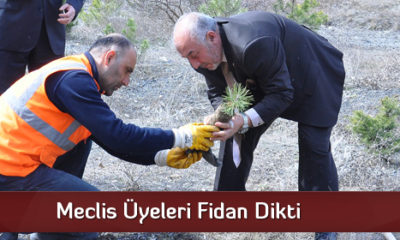 Meclis Üyeleri Fidan Dikti