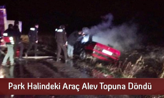 Park Halindeki Araç Alev Topuna Döndü